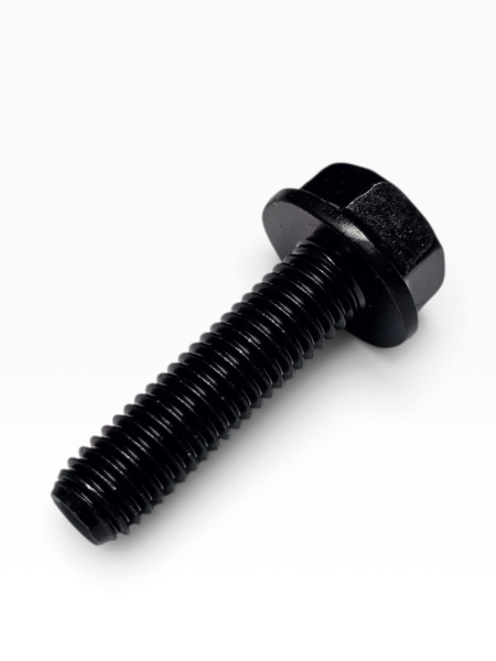 20261007_103314-Photoroom (1).png