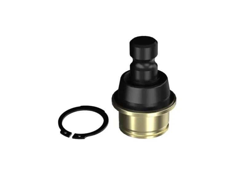 703501262.webp