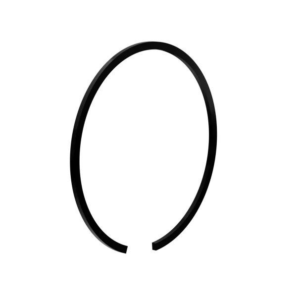 293370019.webp
